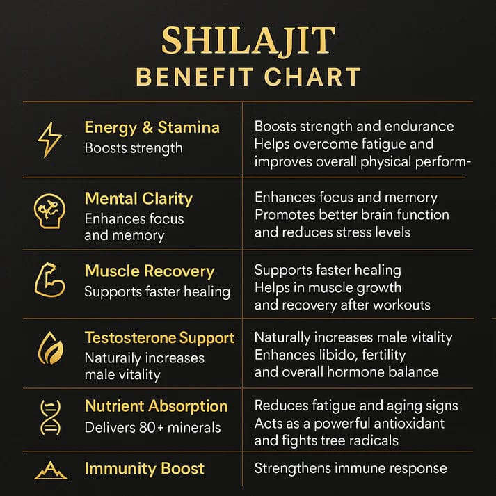 Shilajit Resin | Natural Energy & Strength Booster