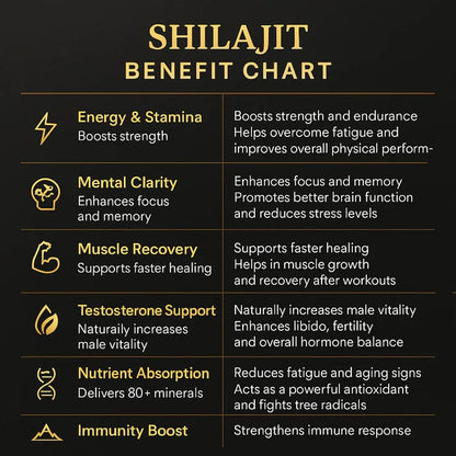 Shilajit Resin | Natural Energy & Strength Booster